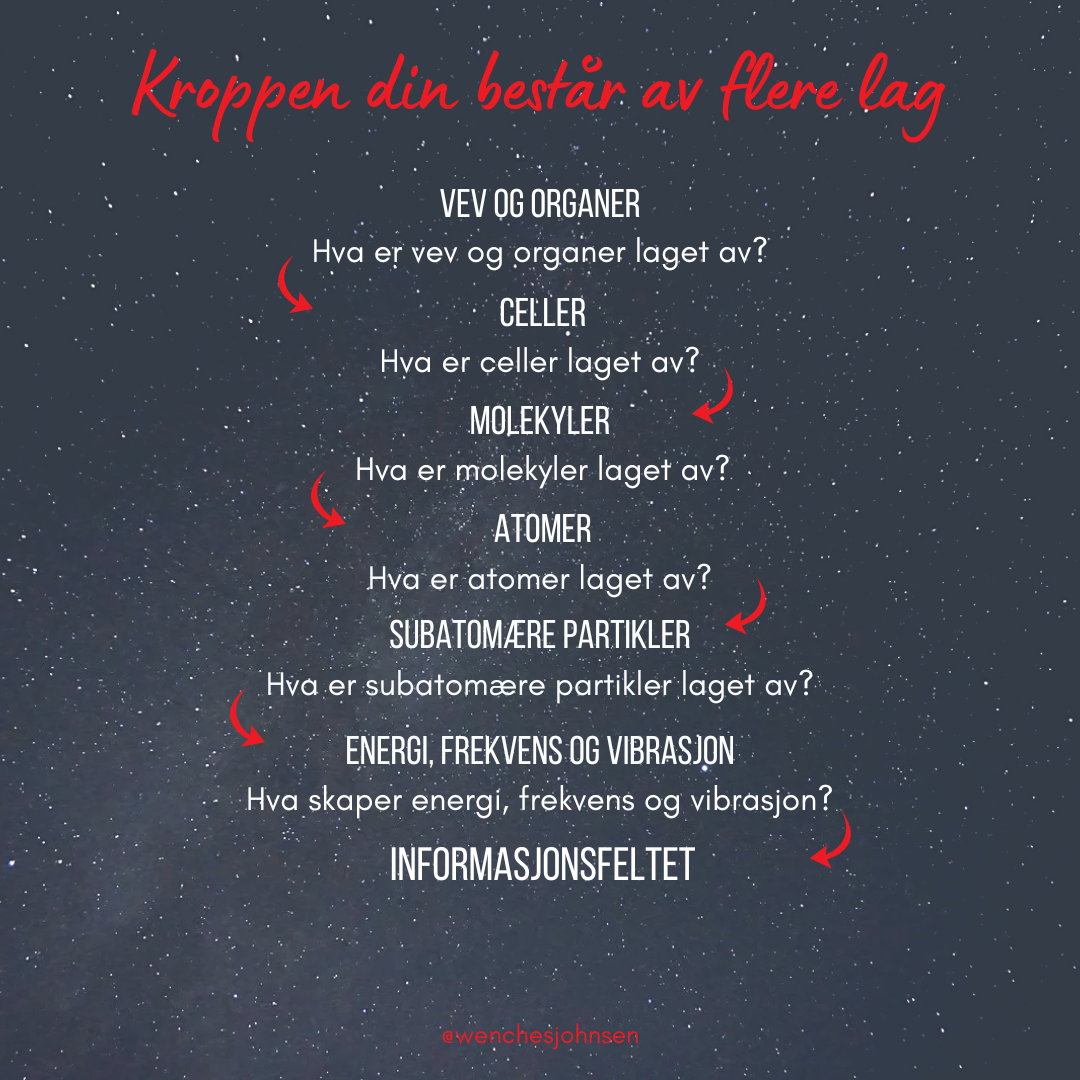 Hva består kroppen av - illustrasjon